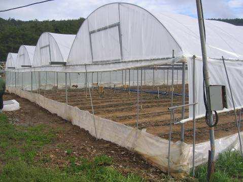 Turkey Izmir (Tahtalı Dam) Preservation area Greenhouses (Cucumber) Water from wells No leaching allowed Objectives Reduce water use Maintain