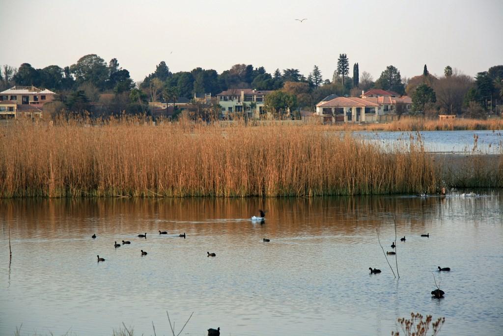 management gaps Lack of sufficient wetland data and maps has meant that municipal officials are curtailed in their ability to make effective decisions around