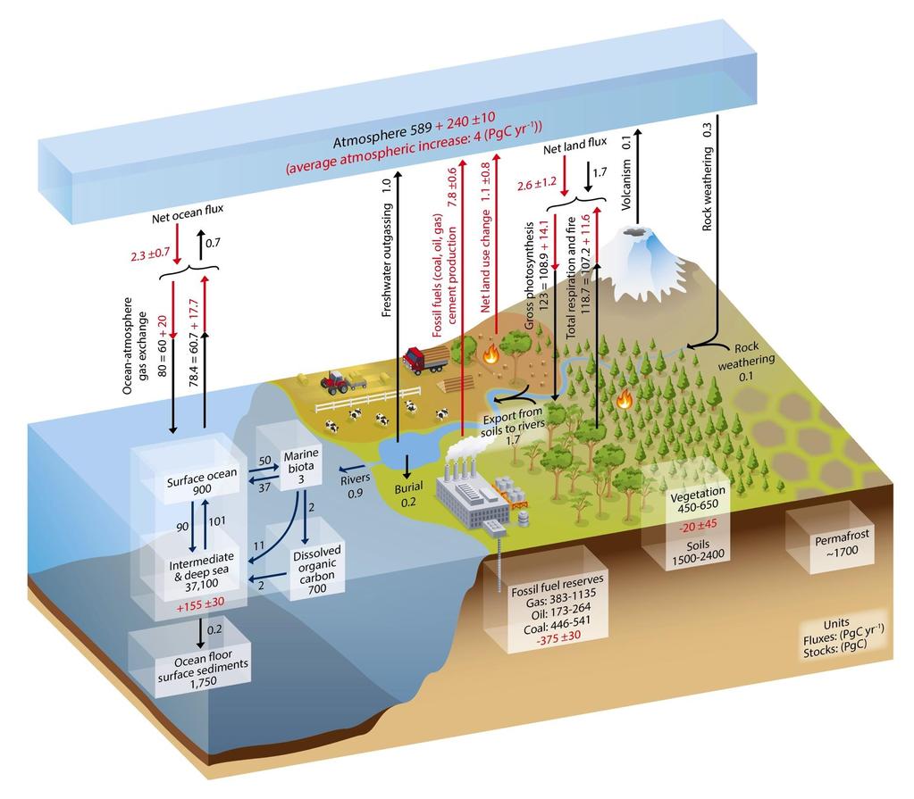 The global carbon cycle: Reservoirs and flows Natural v.