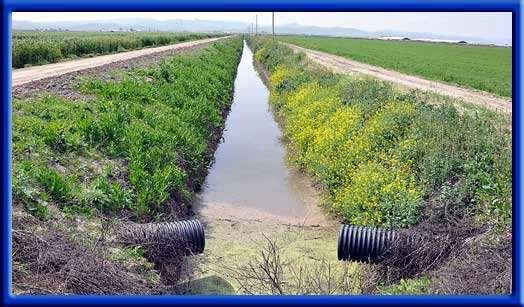 Considering Tile Drainage?? Is the water table above level of tiles?