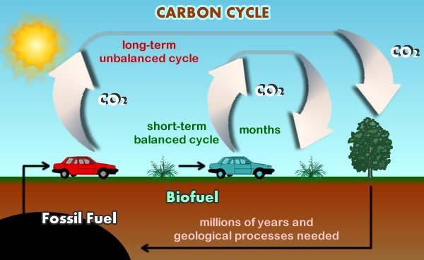 Why biofuels? > http://www.sfi.mtu.