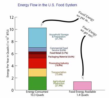 Fossil Energy In U.S.