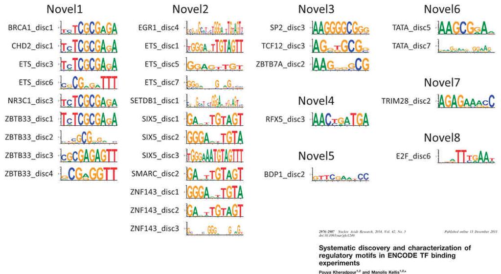 genome, including many new motifs.