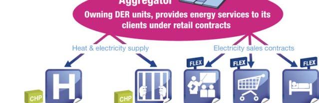 cogeneration units and Demand Response contracts