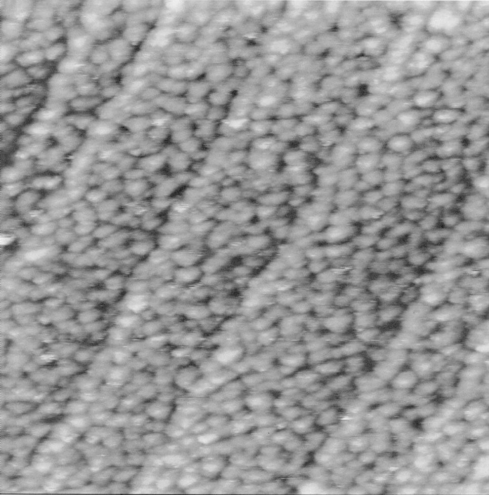 1 M H 2 SO 4, Z range 5 nm. clusters, which are closely packed and merged into a textured layer (Fig. 1B).
