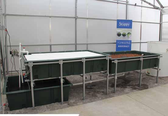 Growing Systems Aquaponics The Aqueduct, Stuppy s Aquaponic Growing System, is a small-scale aquaponic system engineered in-house that can be customized for the greenhouse classroom.