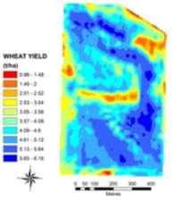 Overlaying Prtein and Yield maps with ther data fr better diagnstic