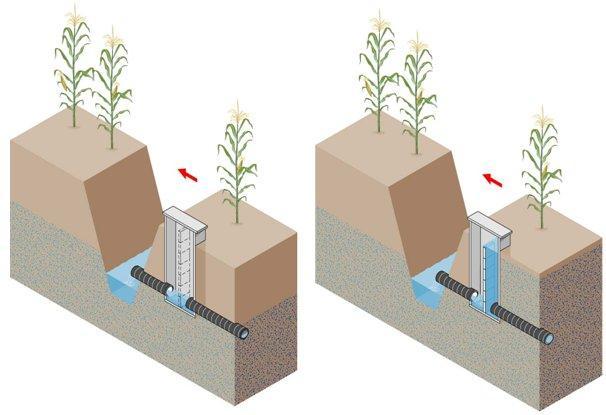 structures enable shallower water tables to