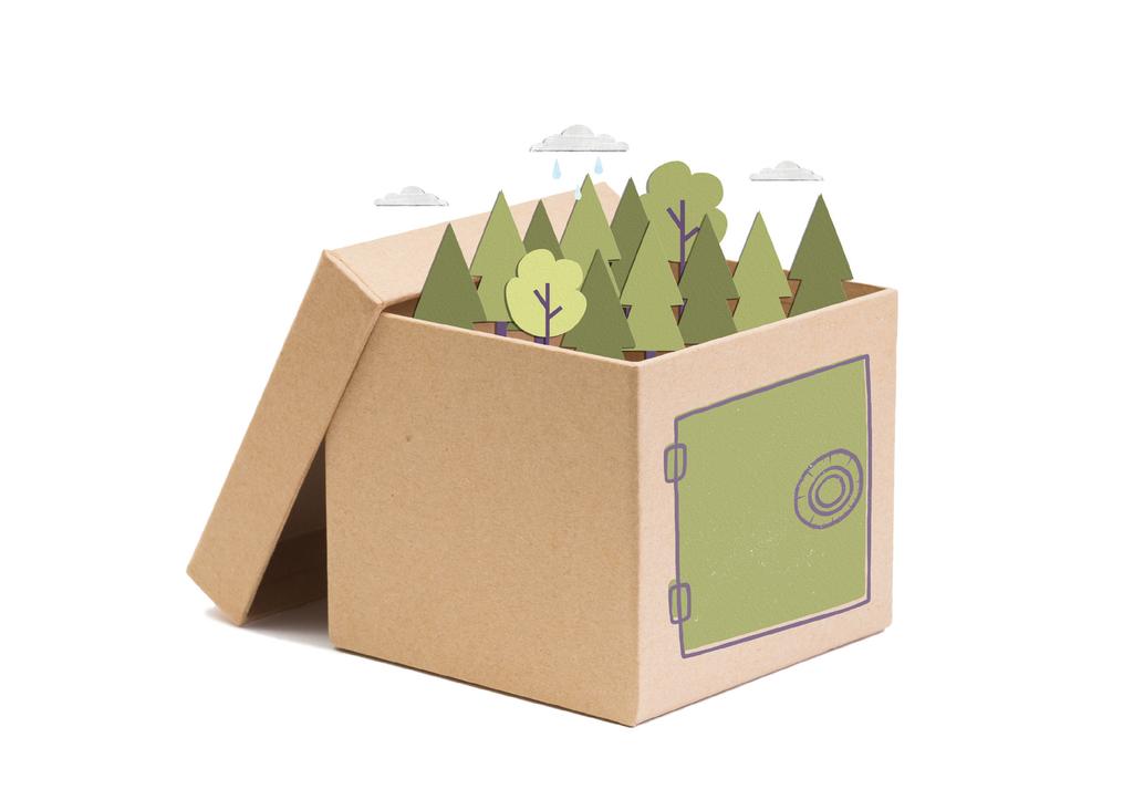 06 THE FACT: Paper packaging