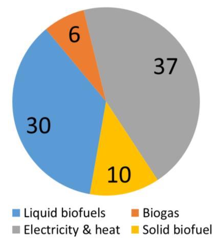 Brief Description of the 86 Bioenergy Demonstration Projects Relevant to Forest Industry Lignin: 8 projects Agri residues: 5 projects Municipal solid wastes: 6 projects Wood chips: 11 projects Forest