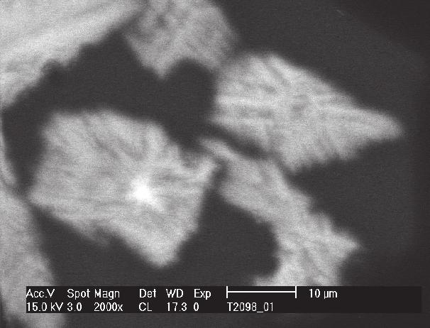 If now a thin section preparation of this granulated slag is examined in the scanning electron microscope using different detectors, then crystalline constituents can be discerned in the granulated