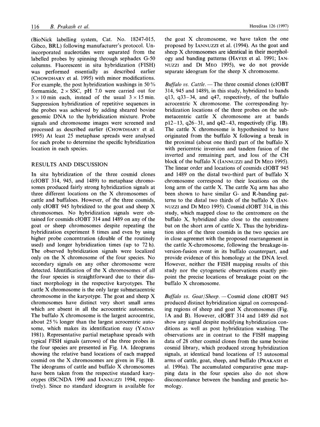116 B. Prakash et ul. Hereditas 126 (1997) (BioNick labelling system, Cat. No. 18247-015, Gibco, BRL) following manufacturer s protocol.