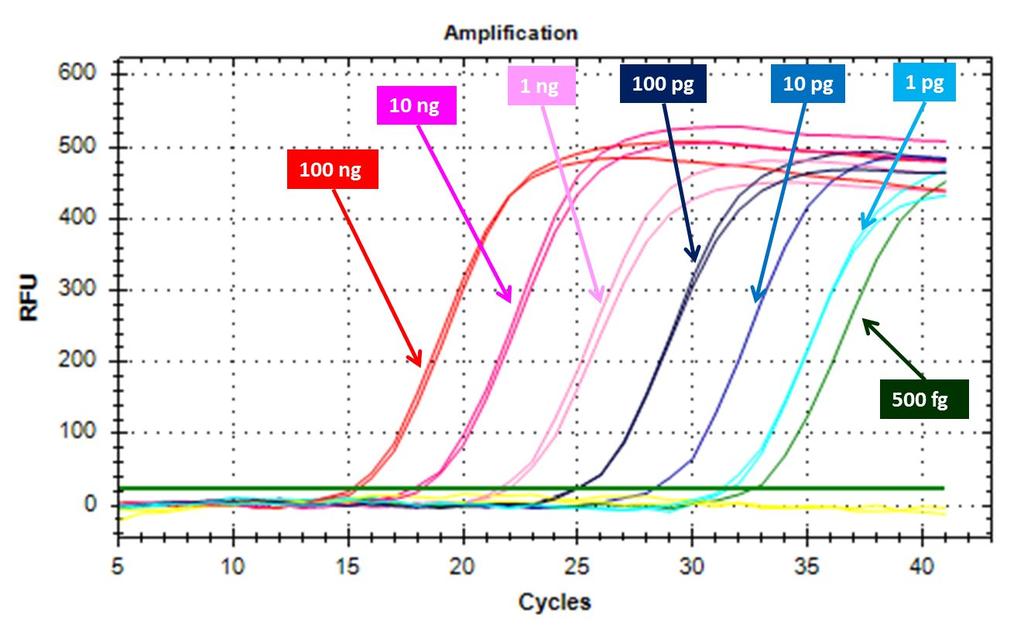 Figure 1: A representative RT-qPCR baseline graph showing the successful amplification of a dilution series of Quantified RNA Standard. F.