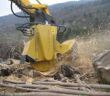 STUMP & ROOT GRINDERS & TILLERS It s so easy to eliminate stumps and roots! The stump grinders made by SEPPI M. are strong and efficient machines.