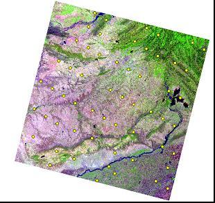 Engine, users can analyze high and very high resolution satellite imagery for a wide variety of purposes, including: Support multi-phase National Forest Inventories Land Use, Land Use Change and
