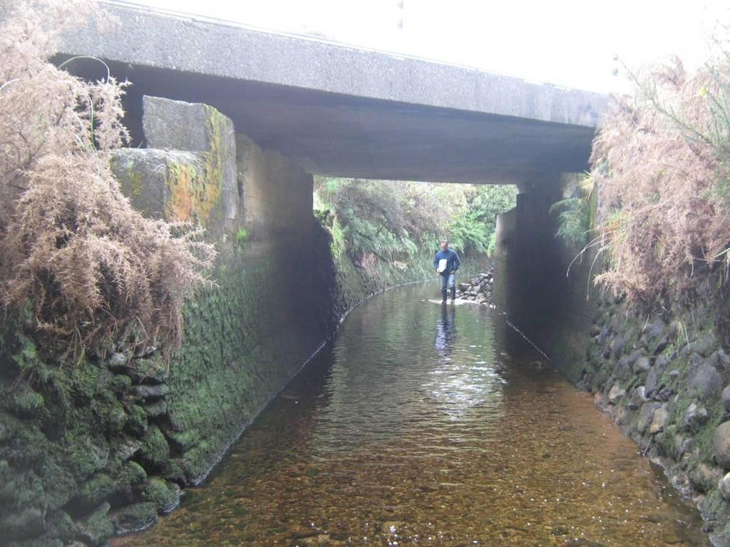 6 3.3 Water Race from Coal Creek to McKays Tunnel 3.3.1 Existing Race The existing water race crosses beneath Kaniere Road, as shown in Figure 3.3.1, about 80m downstream from Coal Creek.