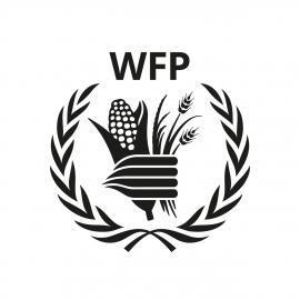 Overview of the New WFP Organizational Chart Informal
