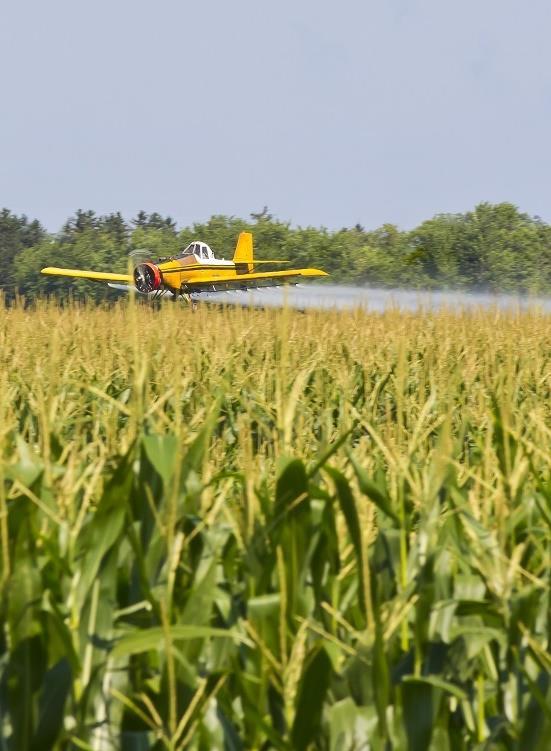 http://healthimpactnews.com/wp-content/uploads/sites/2/2015/03/cornfield-crop-duster.jpg IB BIO 3.