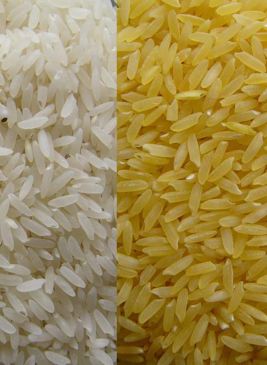 http://www.goldenrice.org/image/goldenrice.jpg IB BIO 3.5 25 Health Issues Applications A3: Assessment of the potential risks and benefits associated with genetic modification of crops.