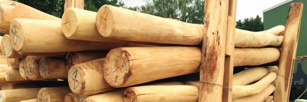 Robinia stakes - sapwood-free 8 10 100 cm 8 10 125 cm 8 10 150 cm 8 10 200 cm 8 10 250 cm 8 10 300 cm