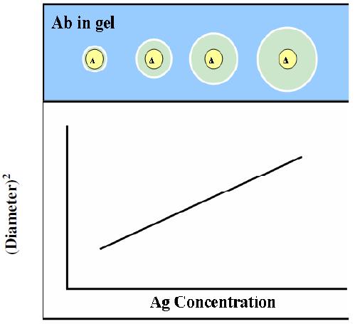 4. A plot of precipitation ring diameters versus concentrations is made for the samples with known antigen concentrations.