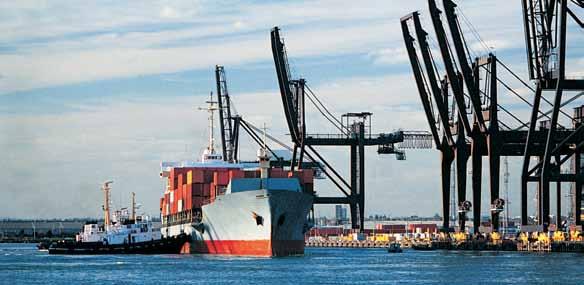 Shipping Agency Services Our company is involved in transport and maritime services and acting as representatives, ship agent, and protecting agent for many shipping lines.