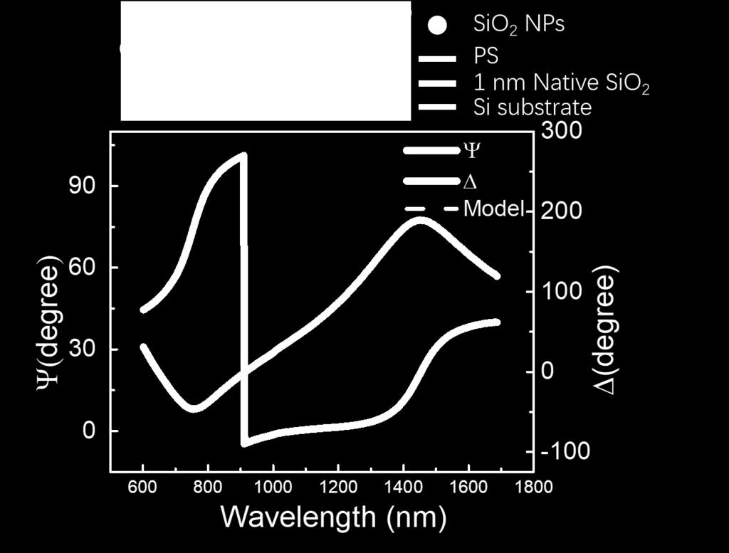 The film thickness of the NP layer and the residual PS layer were determined to be h PS = 106.1 ± 0.5 nm and h NP = 206.1 ± 0.5 nm, respectively.