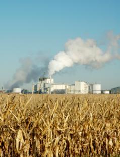 Policy defines attractiveness US market RFS as a driver RFS provides certainty to the US market for cellulosic ethanol 7.