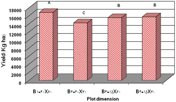 Result and discussion 1-Yield: The most important factor in this study, grain yield per hectare is a factor that influenced the number of plants per unit area, number of ear per plant, grain number
