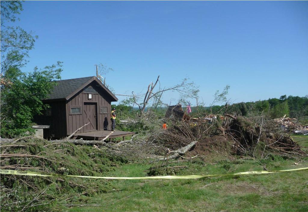 Figure 5b Broken and uprooted