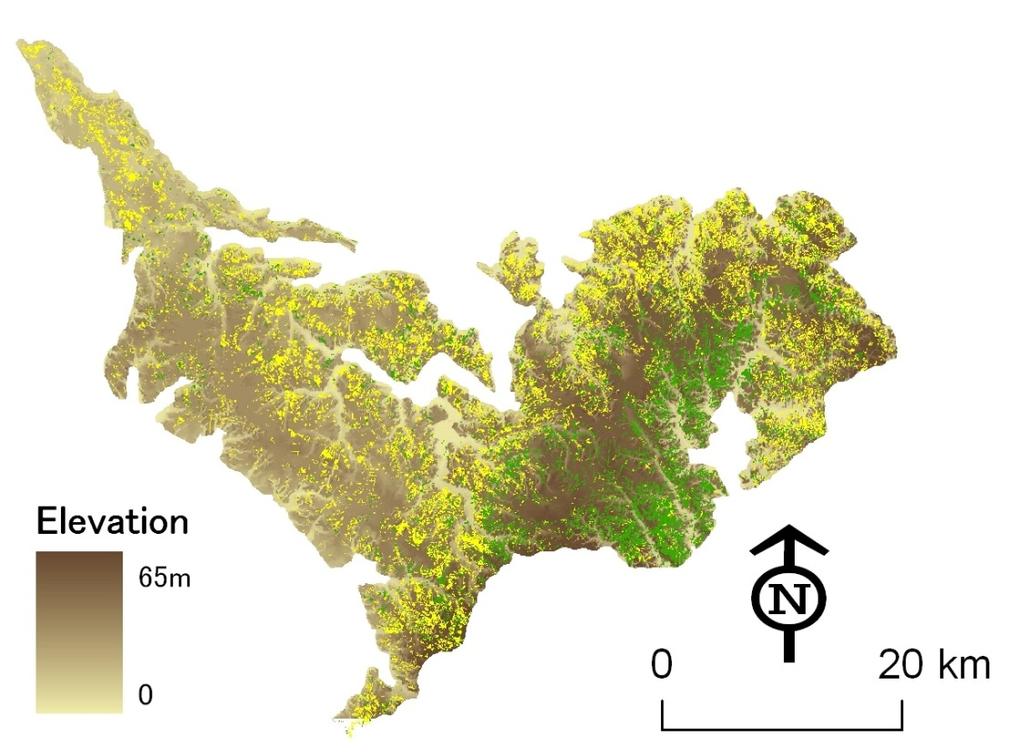1 方法 1) 対象地の概要 都市近郊の里山に関しては 千葉県北部に位置する下総台地を対象地に設定した 図 4-3 本研究の対象地である東葛飾地域の里山も その大部分が下総台地上に分布している 下 総台地の総面積は 152,400ha 標高は概ね 20 40m であり 台地面には里山 平地林 がよ く発達している 第 5 回自然環境保全基礎調査の現存植生図 環境省 1999 を用いて
