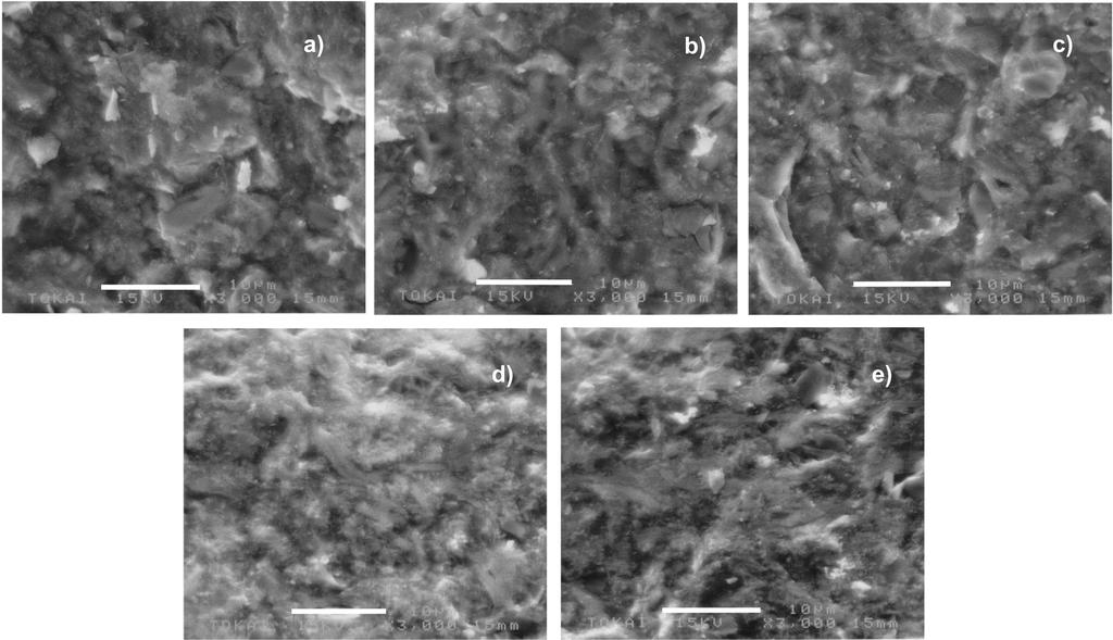 4 GeumChan Hwang and Junichi Matsushita Fig. 7. SEM images of STCP samples: (a) mass%, (b) mass%, (c) mass%, (d) mass%, and (e) mass% carbon with mass% phenolic resin. Fig. 8.