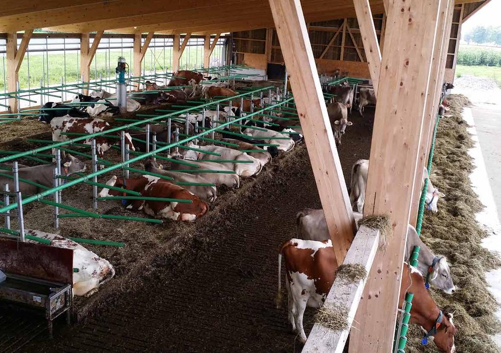 Cell count Products Location Reference Lower than 100,000 (average) CW Flex Stall CW Flex Feed Switzerland Pascal Monhart Introduction Pascal Monhart wanted a barn with high cow comfort, low
