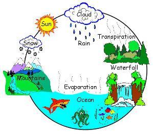 Water cycle activity in your notes
