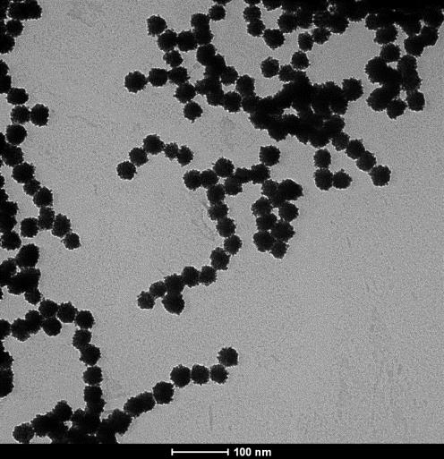 50 40 30 Counts 20 10 0 20 25 30 35 40 45 Nanoparticle Size (nm) Figure S1.