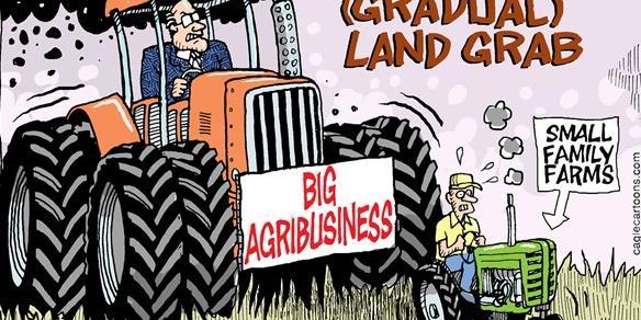 LOSS OF FAMILY FARMS Big agribusinesses are pushing more and