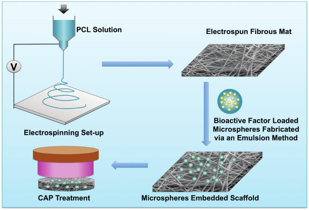 Plasma surface functionalization of biodegradable electrospun scaffolds... PCL/Chitosan/PCL. A plasma treatment was applied by using a DBD operating in Ar + N 2 or Ar + O 2 at atmospheric pressure.