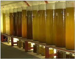 Algae Culture Bacteria often co-exist with algae o If they are