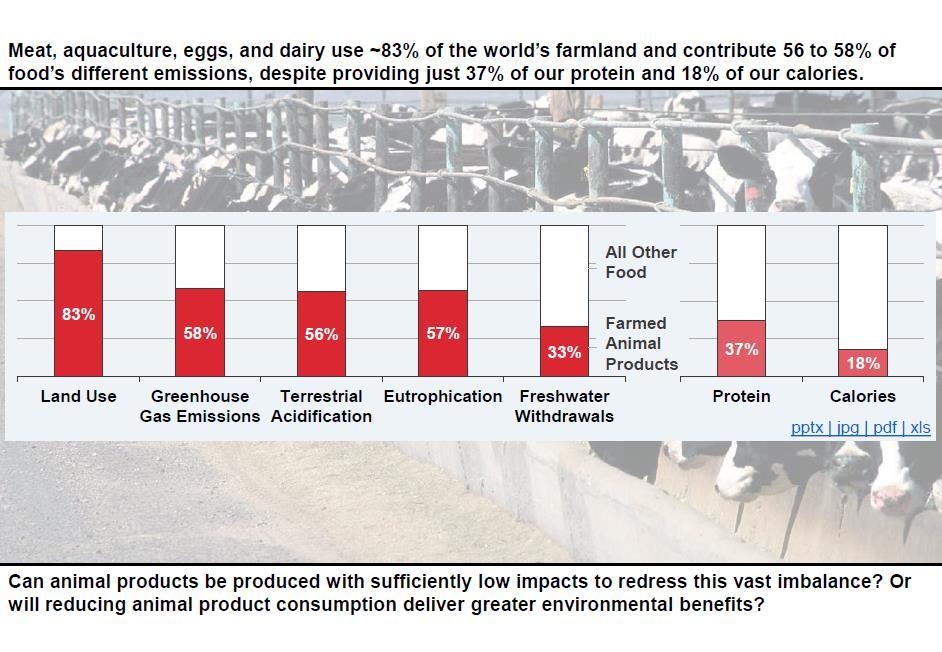High environmental impacts through animal products 3