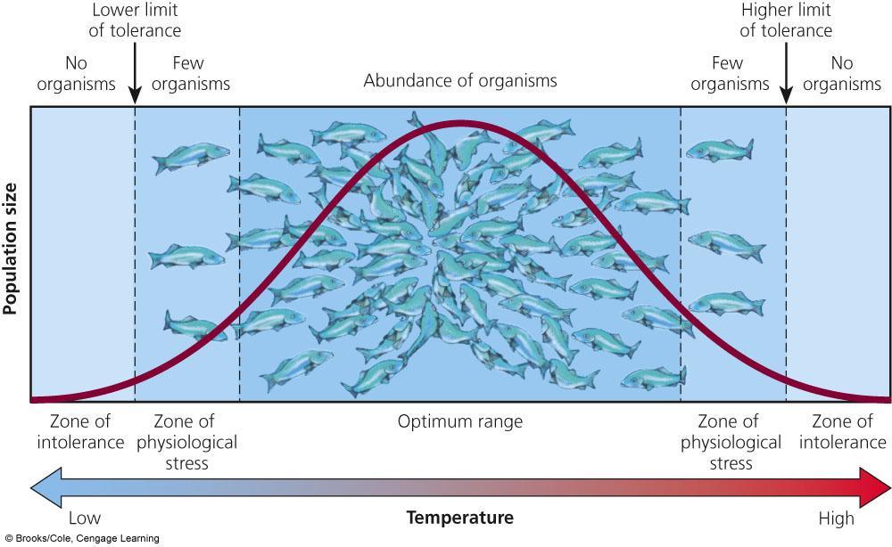 Several Abiotic Factors Can Limit Population Growth Limiting factor principle Too much or too little of any abiotic