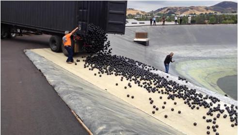 The city poured 96 million, black, four-inch plastic balls over the surface of its 175-acre reservoir earlier this week - the first city in the country to use shade balls to preserve its water