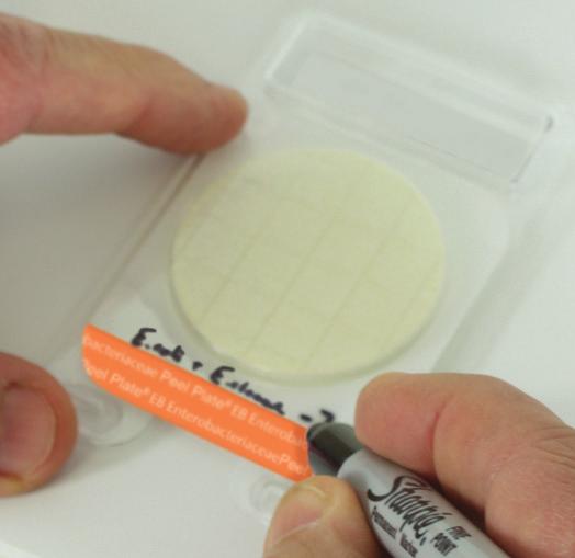 7 Peel Plate EB Test Procedure Step 1 For ease of opening, use plates at room temperature.