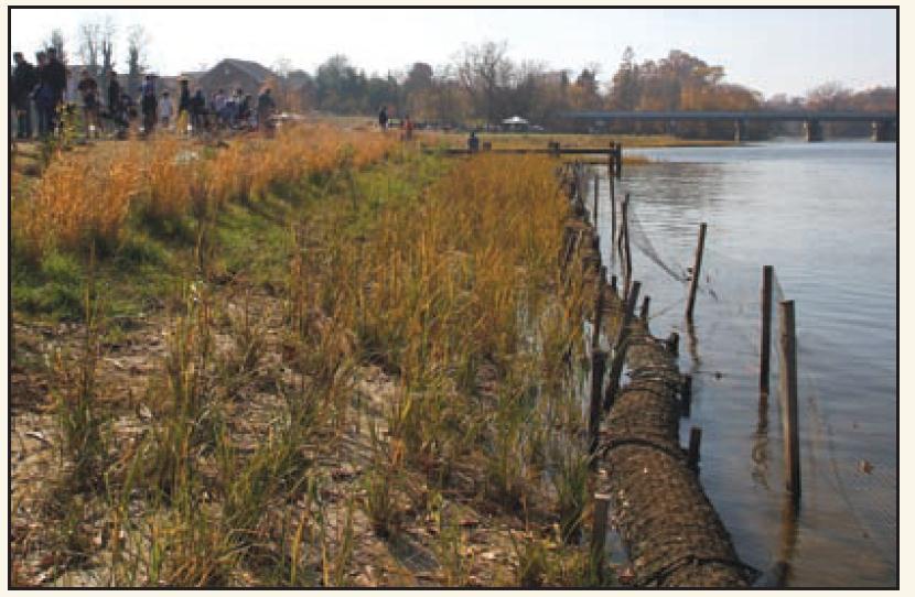Living Shorelines Ecological Improvements to Newtown Creek o "Living shorelines are the result of applying erosion control measures that include a suite of techniques which can be used to minimize