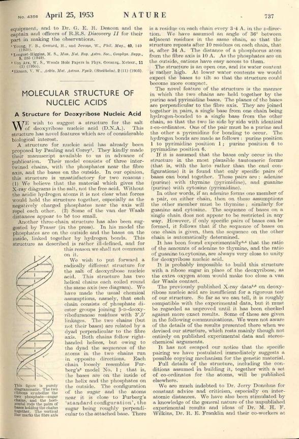pattern 1953: DNA
