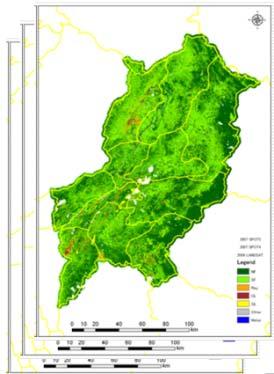 20 15 10 22 Forest Sample Plot Survey (DBH,