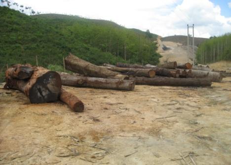 (3) Driving Factors of Deforestation and Forest Degradation* [Deforestation]