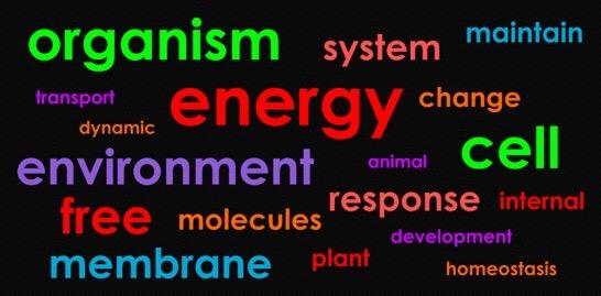 Big Idea 2: Energy Biological systems utilize free energy and molecular