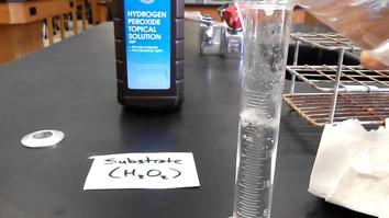 AP Lab #13 - Enzymes Enzyme Catalysis Inquiry Lab
