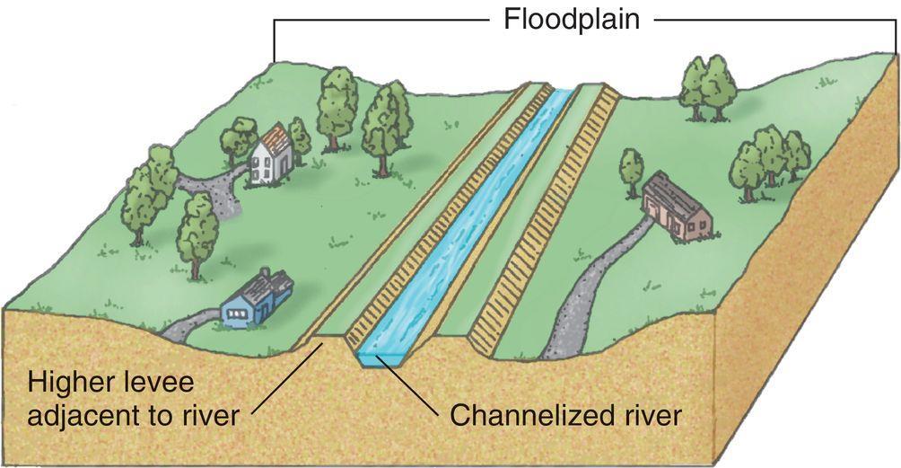 Right: Suggested levee