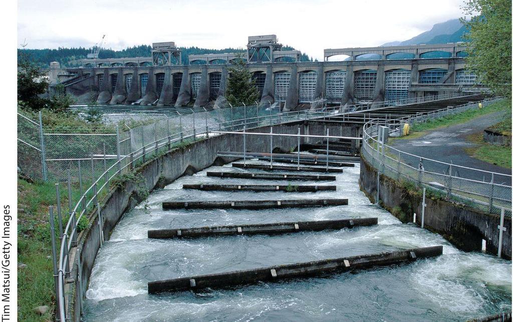 Dams and Reservoirs Salmon population in Columbia River very low due to